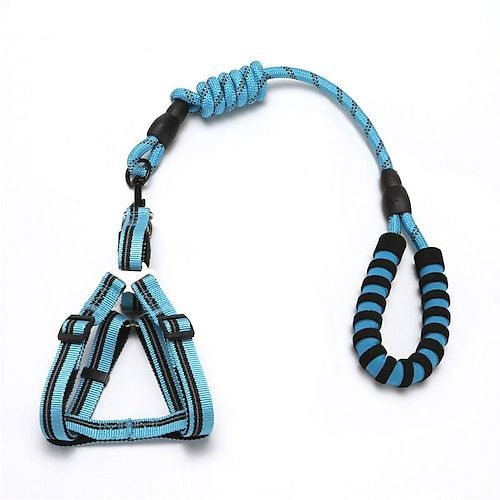 Laisse de chien - Bleu – Image 1