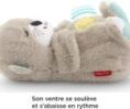 Peluche Fisher Price Ma Loutre Calins Bonne Nuit – Image 2