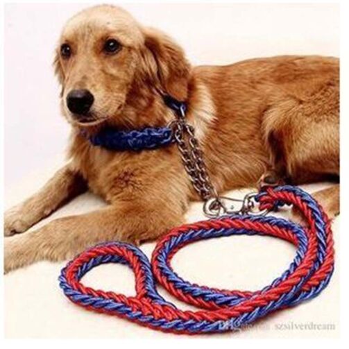 Laisse De Chien Naté - Rouge/Bleu – Image 1